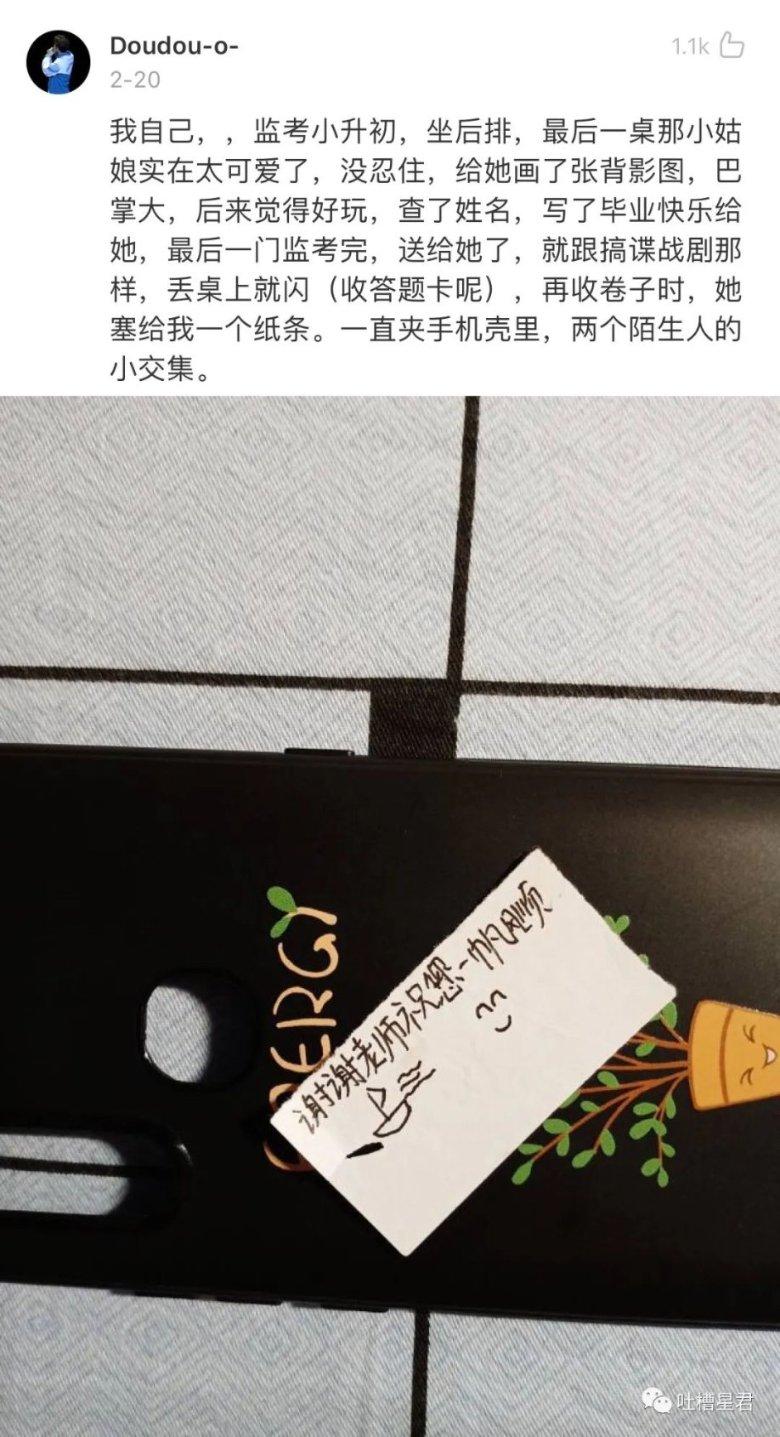 可爱猪救援2